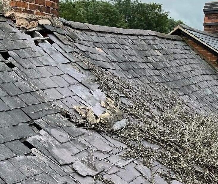Common Roofing Issues in Enfield