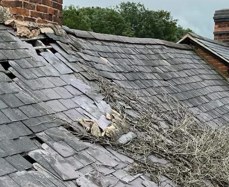 Common Roofing Issues in Lower Edmonton