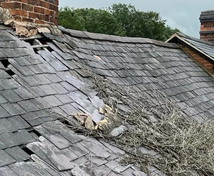 Common Roofing Issues in Palmers Green