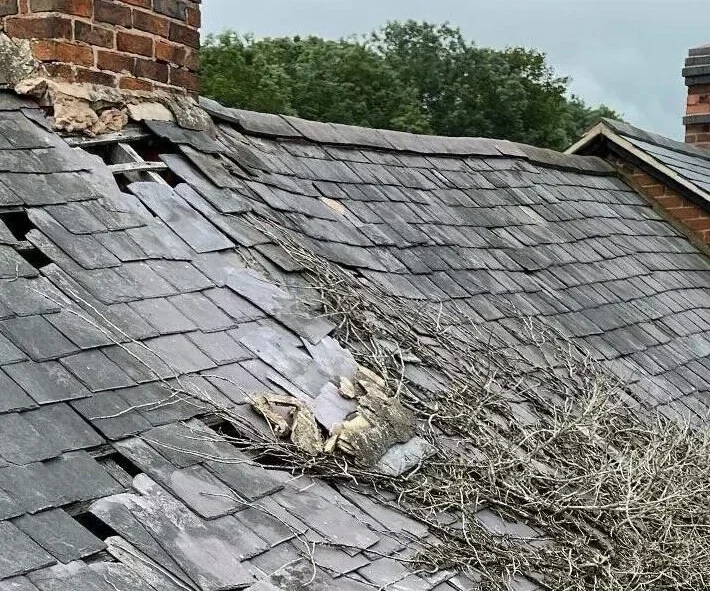 Roofers Ponders End 2 Common Roofing Issues in Ponders End