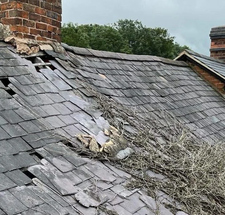 Common Roofing Issues in Southgate