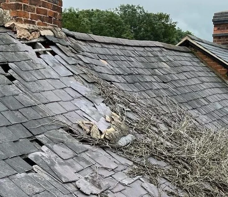Common Roofing Issues in Tottenham