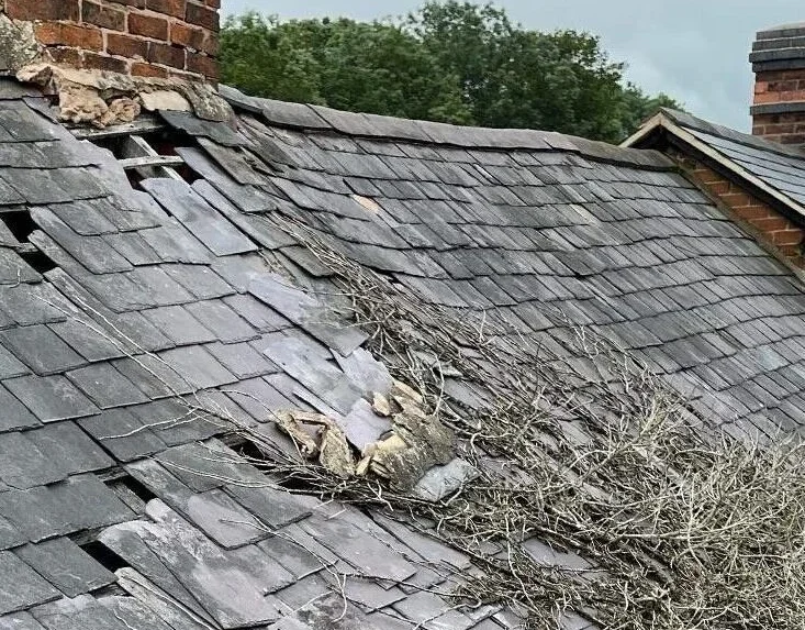 Roofers Upper Edmonton 2 Common Roofing Issues in Upper Edmonton