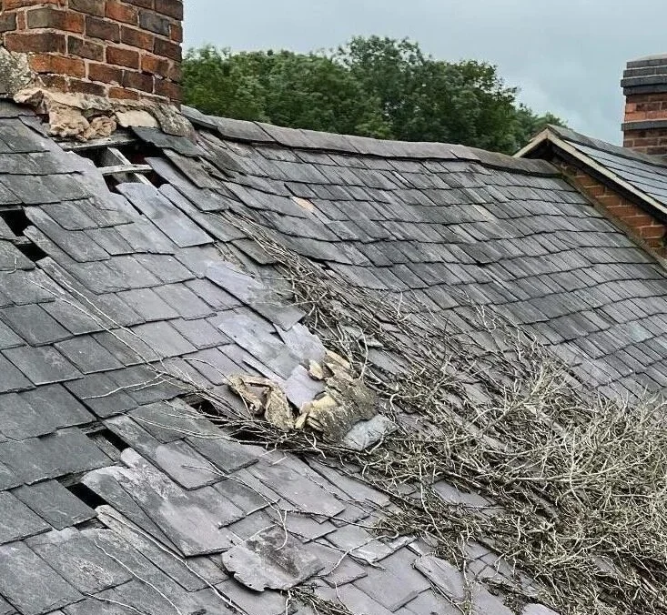 Common Roofing Issues in Wood Green