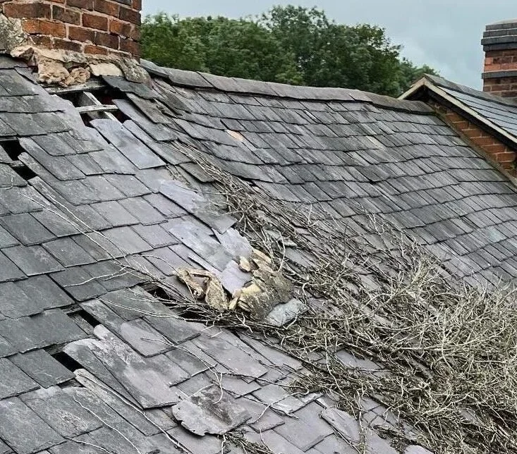 Common Roofing Issues in Enfield Lock