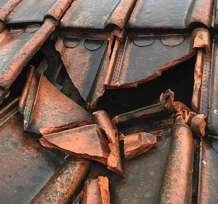 Roof Repair in Edmonton